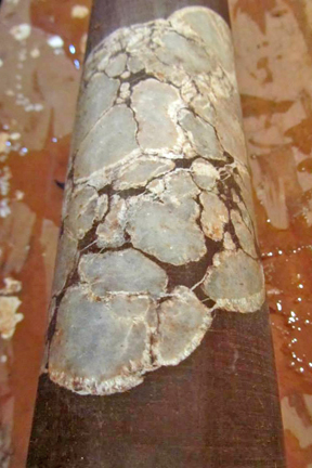 Close-up of nodular gypsum