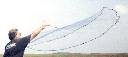Image of person casting a net.