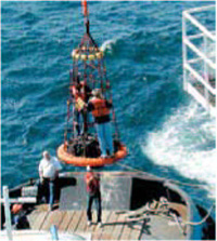 Image of at-sea transfer of personnel.