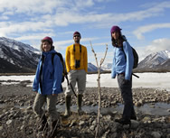 A Rapidly Altering Arctic Tundra