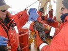 Fishing for Icefish/Antarctica
