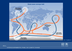 Graphic from Intergovernmental Panel on climate change