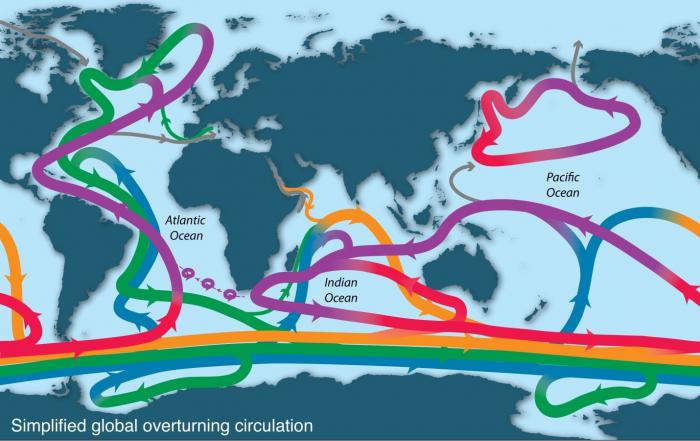 Ocean overturning circulation. Courtesy of co-author Lynne Talley.
