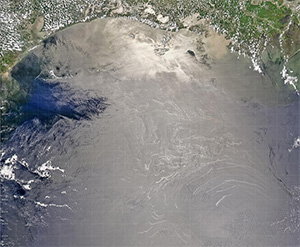 Surface slicks of oil in the Northwestern Gulf of Mexico appear as white features in the center of the image. The Bird’s Foot Delta of the Mississippi River and New Orleans are to the top right of the image, derived from NASA’s MODIS Aqua sensor. CREDIT: NORMAN KURING/NASA GSFC.