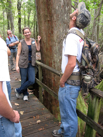 oldest Four Holes Swamp baldcypress