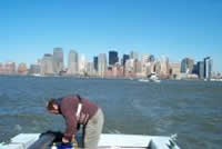 Hudson River Sediment