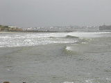 DSCN0646.jpg