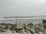 DSCN0649.jpg