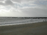 DSCN0650.jpg