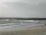 DSCN0651.jpg