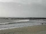 DSCN0652.jpg
