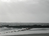 DSCN0654.jpg
