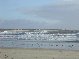 DSCN0655.jpg