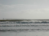 DSCN0662.jpg