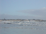 DSCN0667.jpg