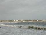 DSCN0674.jpg