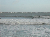 DSCN0678.jpg