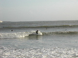 DSCN0681.jpg