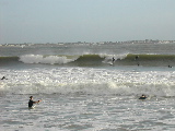 DSCN0686.jpg