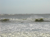 DSCN0687.jpg