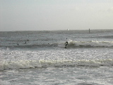 DSCN0689.jpg