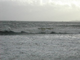 DSCN0693.jpg