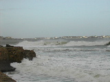 DSCN0695.jpg
