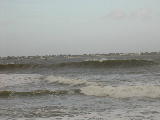 DSCN0698.jpg
