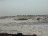 DSCN0700.jpg