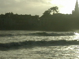 DSCN0711.jpg