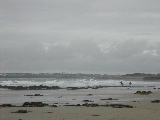 DSCN1135.JPG