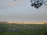 DSCN1151.JPG