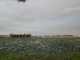 DSCN1154.JPG