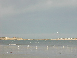 DSCN1171.JPG