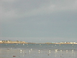 DSCN1172.JPG