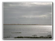 DSCN9087