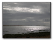 DSCN9088