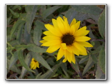 DSCN9109