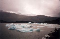 bergs