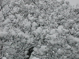 DSCN1925.JPG