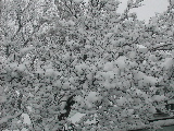 DSCN1926.JPG