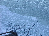 DSCN0777.JPG