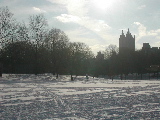 DSCN0785.JPG
