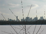 DSCN0790.JPG