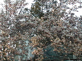DSCN0869.JPG