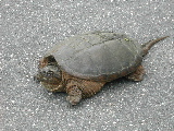 DSCN0978.JPG