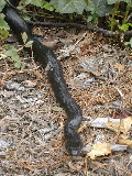 DSCN0988.JPG