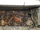 DSCN1015.JPG