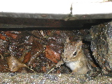 DSCN1016.JPG