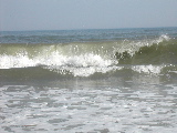 DSCN1079.JPG